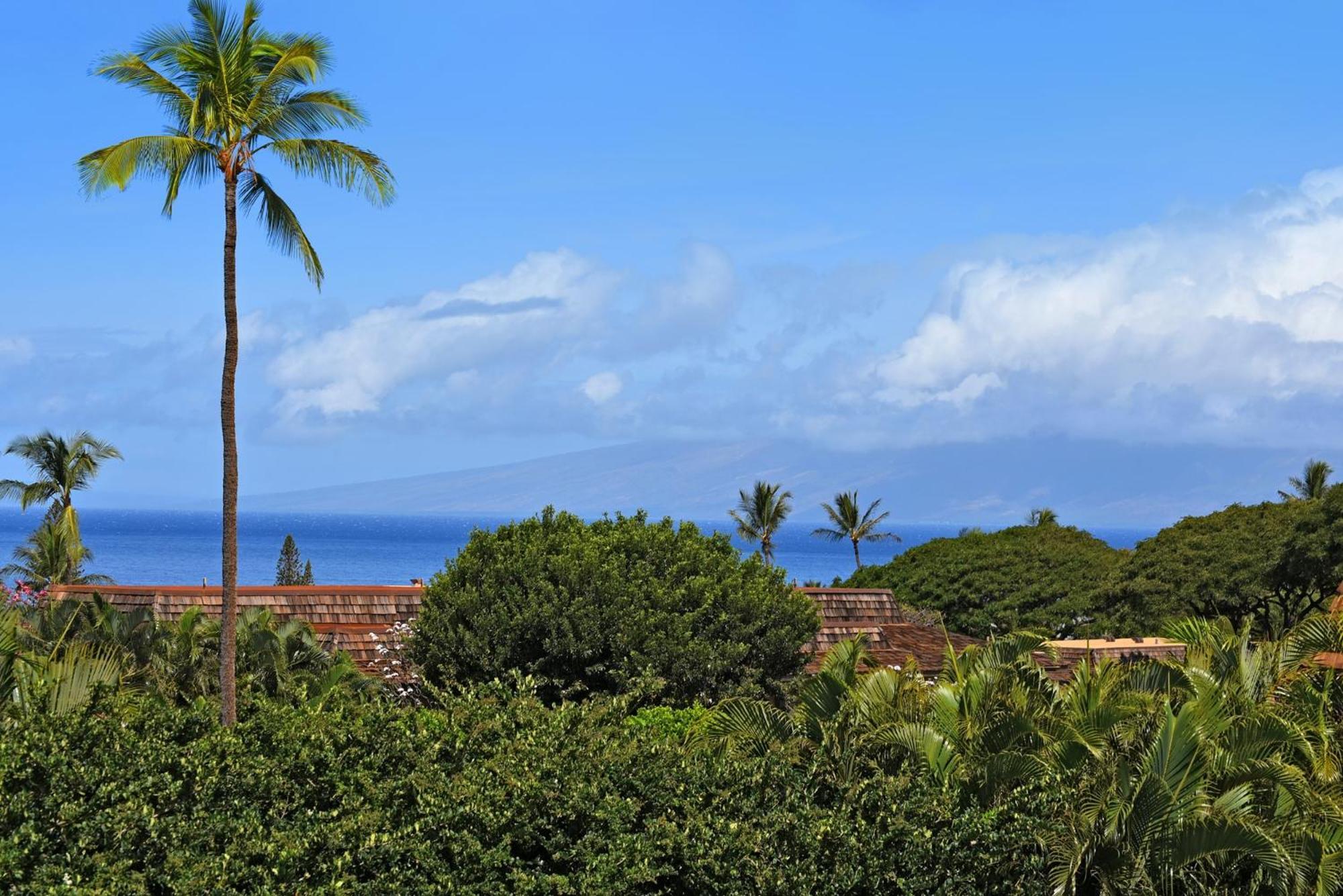 Kaanapali Plantation #52 Condo Lahaina Dış mekan fotoğraf